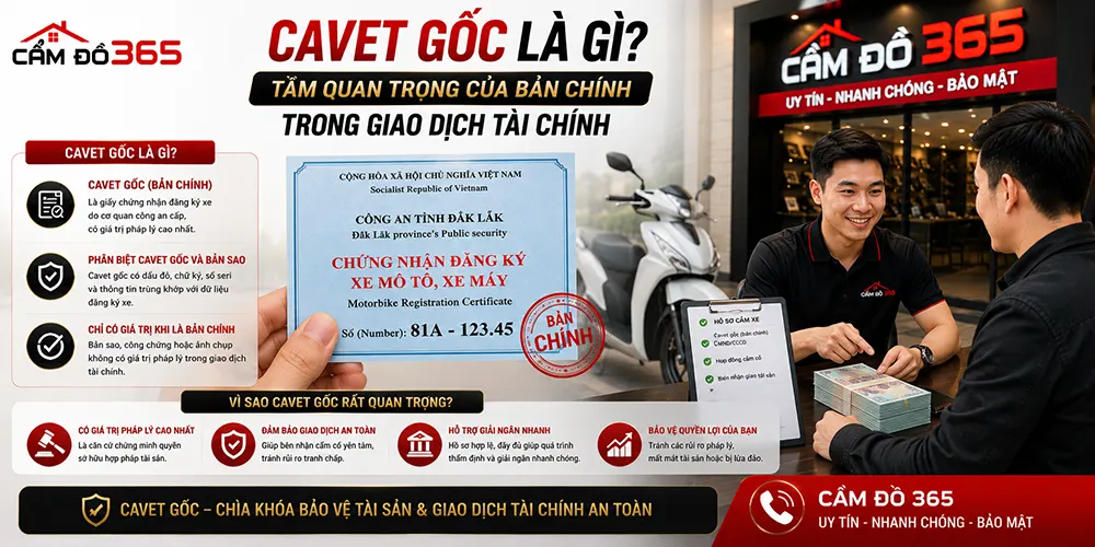 Cavet Gốc Là Gì? Tầm Quan Trọng Pháp Lý Trong Mọi Giao Dịch